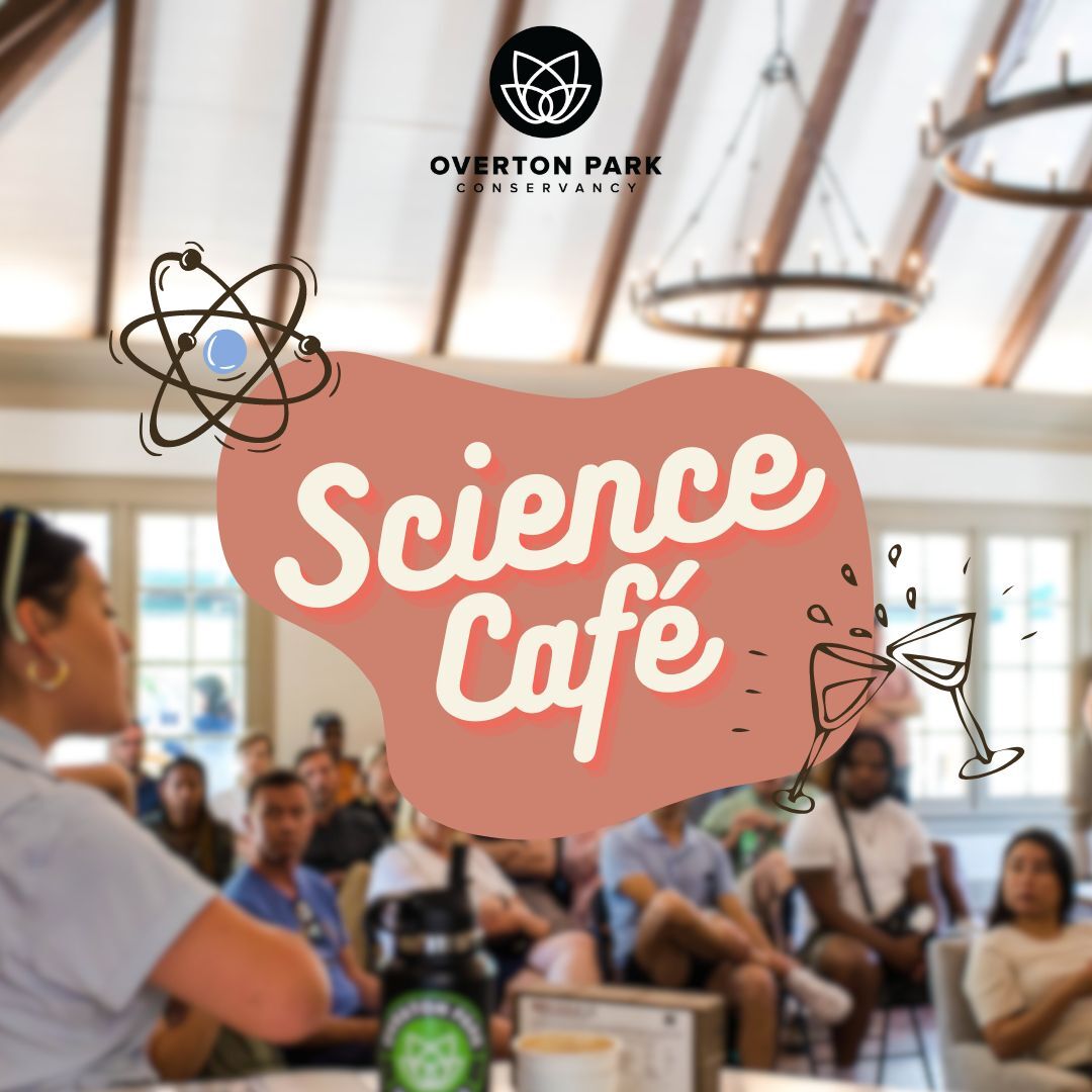 Science Café - logo